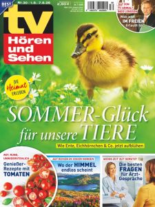 tv Hören und Sehen